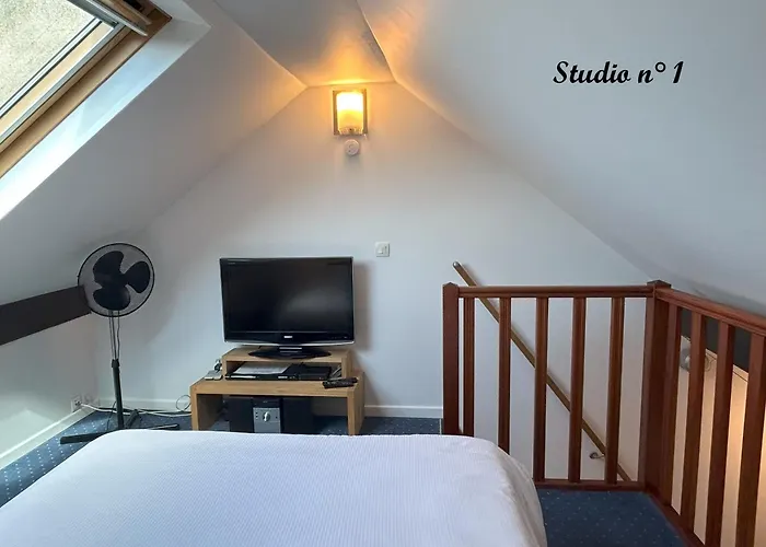 Studiolille - Rue D'anvers Lila